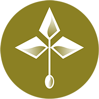 eVotion