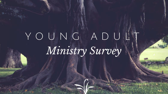 Young Adult Ministry Survey