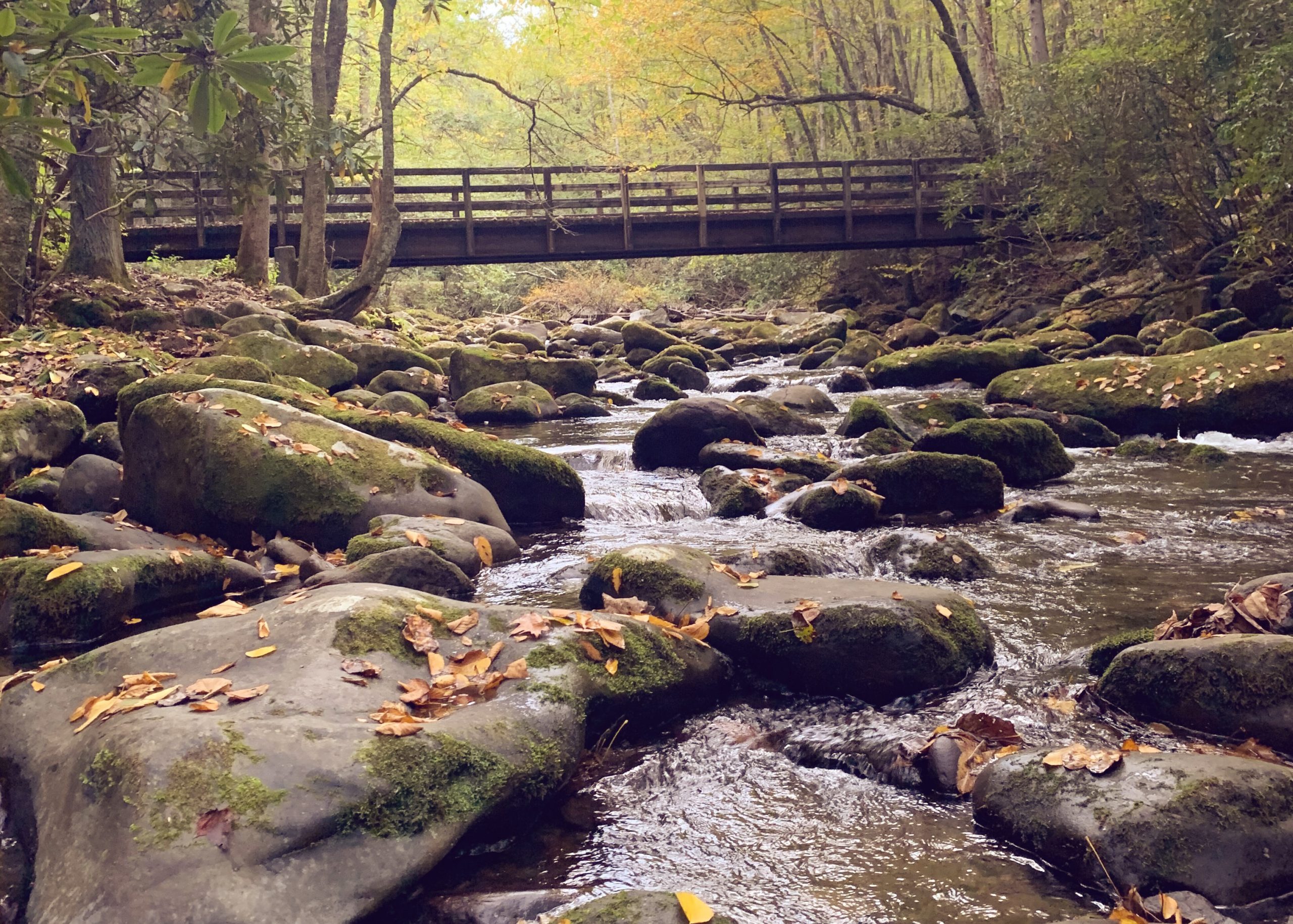 The Living Water of God